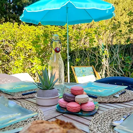 公寓 Rez De Jardin Dans Avec Piscine