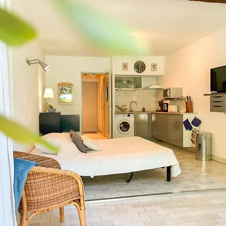 Rez De Jardin Dans Avec Piscine